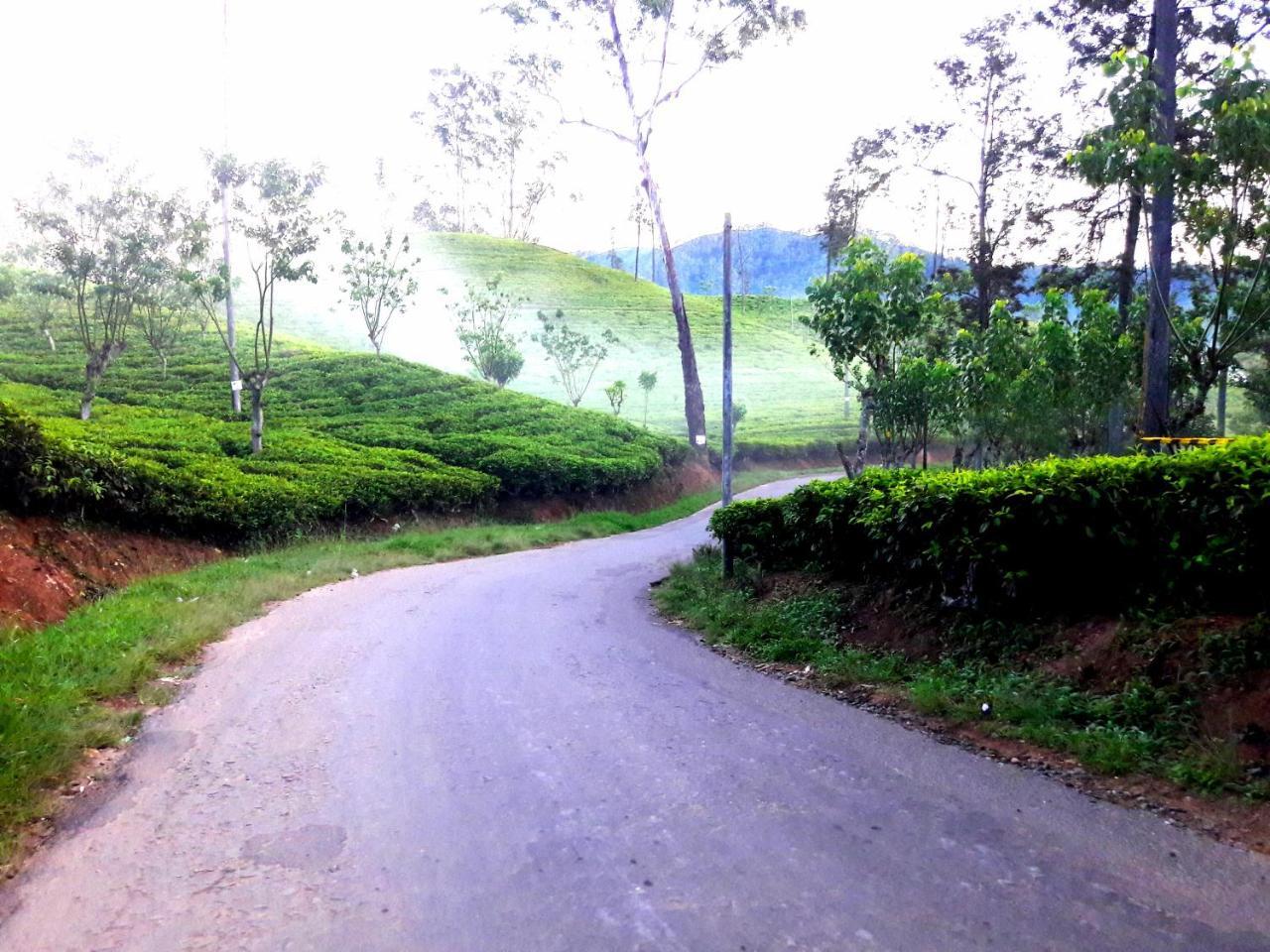 Green Paradise إيلا المظهر الخارجي الصورة